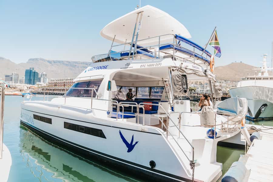 Cape Town: Coastal Cruise & 14-piece Sushi Meal - Heading out by catamaran