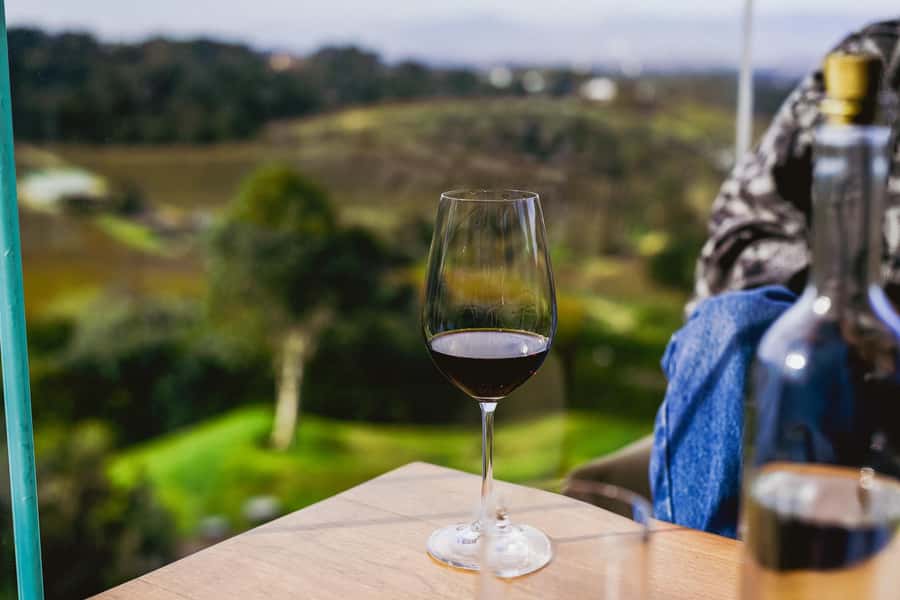 Cape Town: Constantia Half-Day Wine Tour & Tastings - Beau Constantia or Constantia Glen?