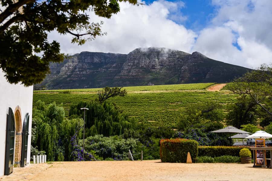 Cape Town: Constantia Half-Day Wine Tour & Tastings - Groot Constantia: history beside the tasting glass