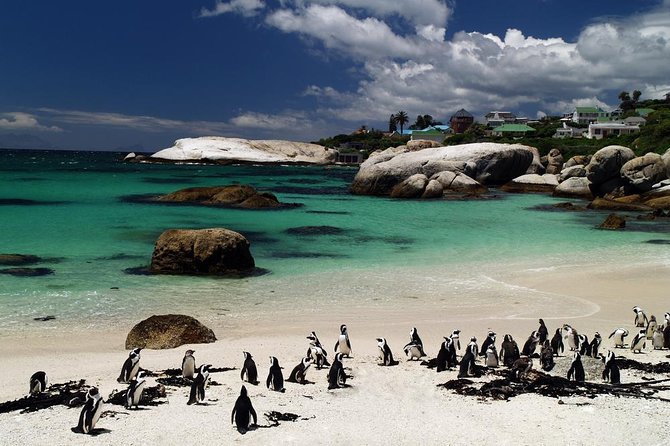 Cape Town Day Tours - Chapman’s Peak turns the drive into part of the tour