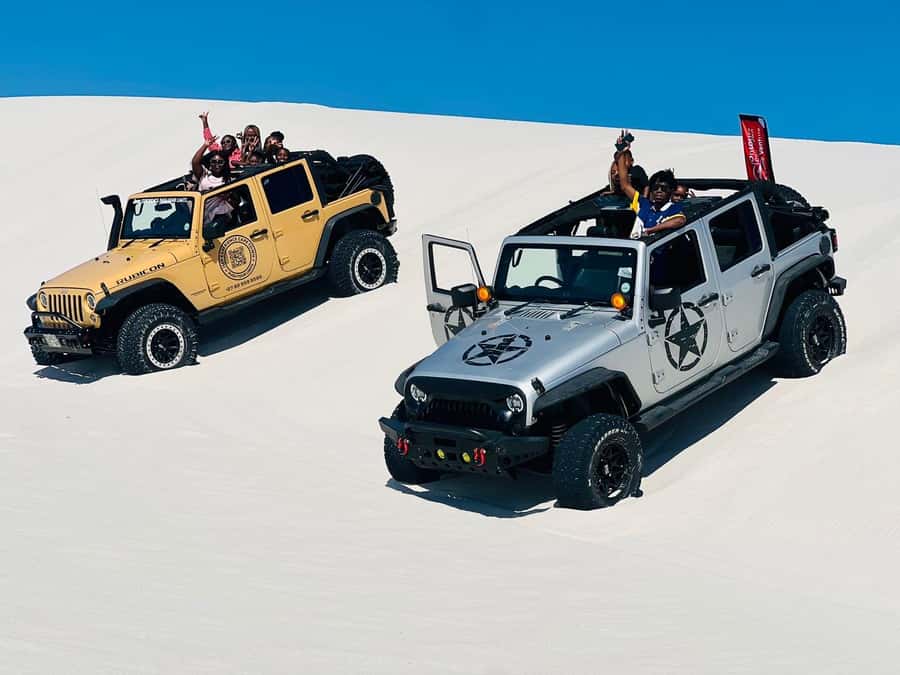 Cape Town Desert Thrills: Dune Jeep Venture - The Jeep ride, bumps and all