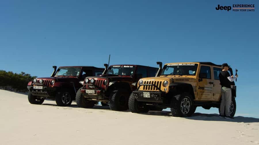 Cape Town Dessert Thrill: 4x4 Dune Venture - Who will enjoy this most