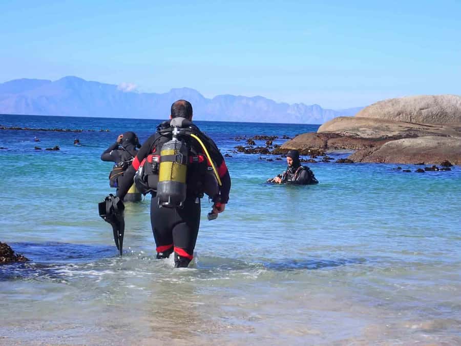 Cape Town: Discover Scuba Diving - 1 day experience - Key points to know before booking