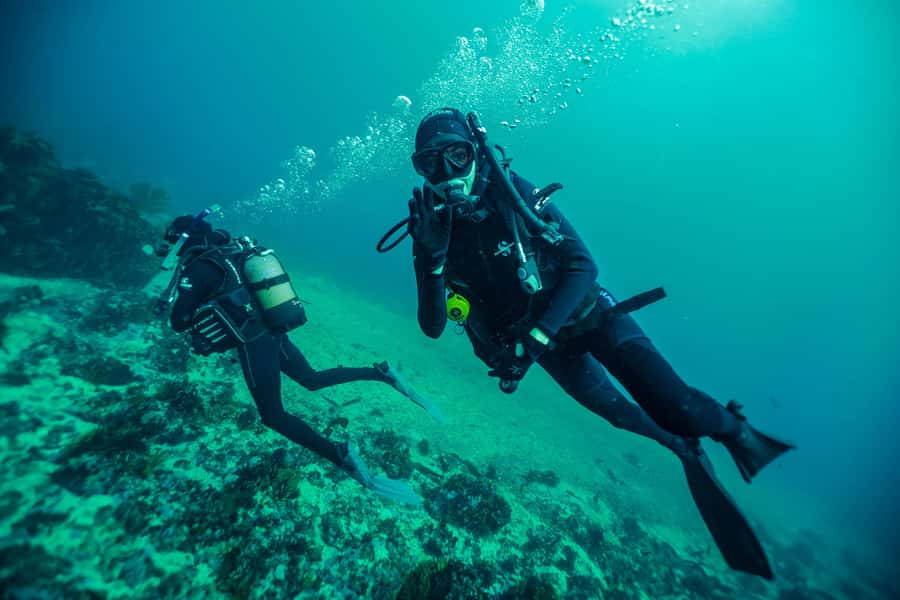 Cape Town: Discover Scuba Diving - 1 day experience - Booking details worth keeping in mind