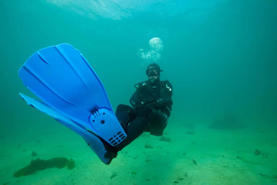 Cape Town: Discover Scuba Diving - 1 day experience - Why this Simon’s Town session works for first-time scuba