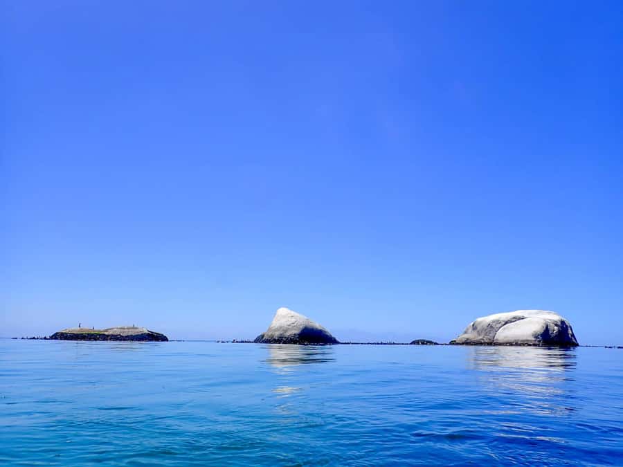 Cape Town: Discover Scuba Diving - 1 day experience - The one-hour class and safety preparation