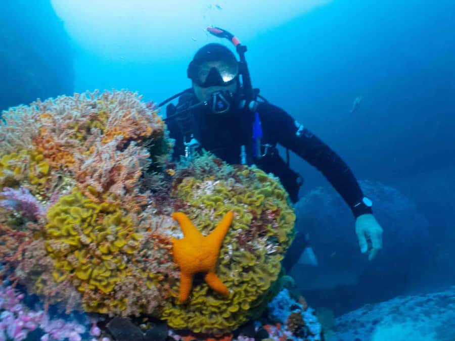 Cape Town: Discover Scuba Diving - 1 day experience - What the underwater time feels like for a beginner