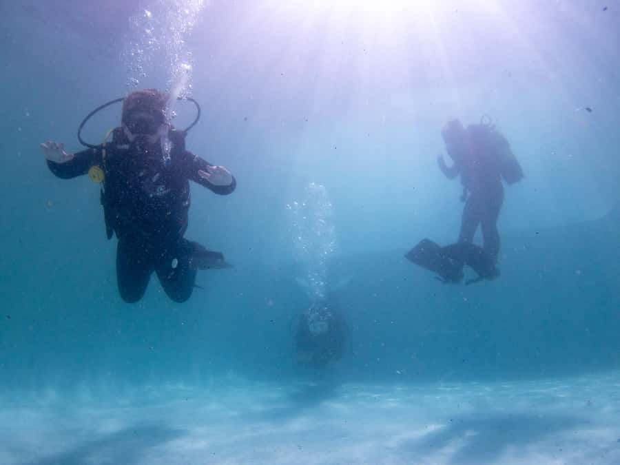 Cape Town: Discover Scuba Diving - 1 day experience - Who should book this experience?