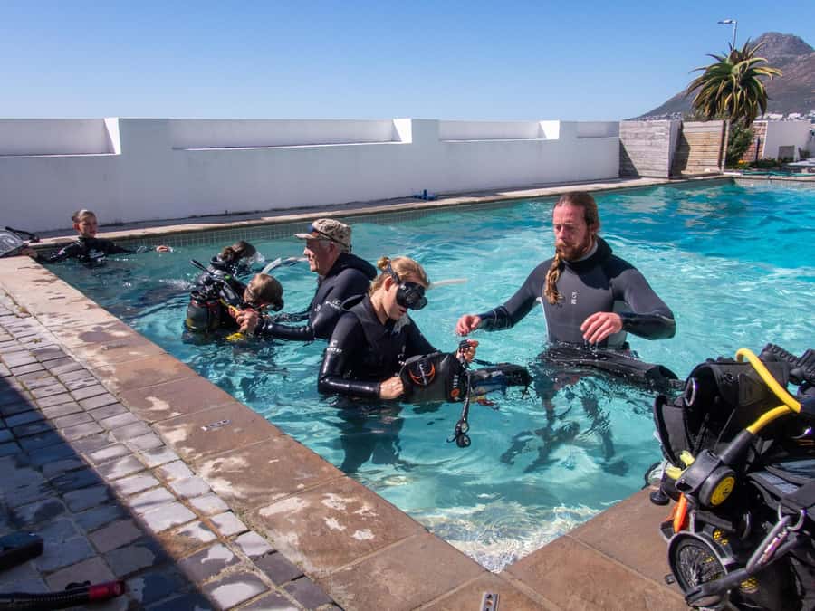 Cape Town: Discover Scuba Diving - 1 day experience - Meeting the instructors at Dive Team