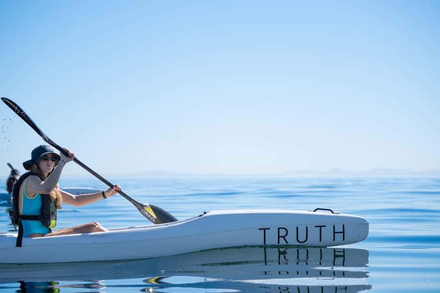 Cape Town: Dolphin & Ocean Wildlife Kayaking Adventure ⚓️ - Why this paddle is different from a standard Cape Town sightseeing trip