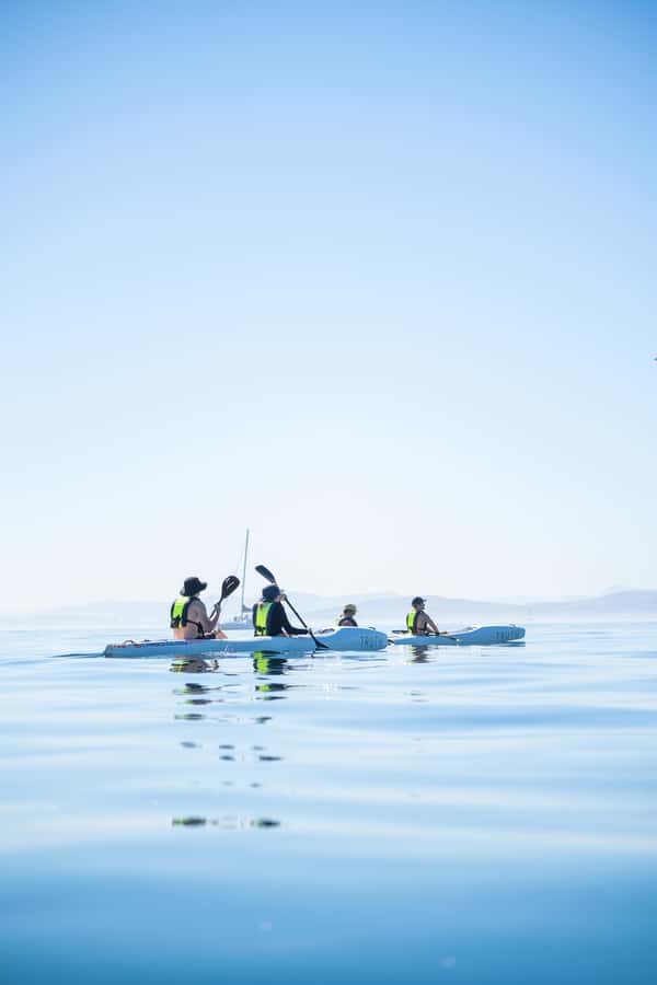 Cape Town: Dolphin & Ocean Wildlife Kayaking Adventure ⚓️ - Paddling past the lighthouse with Cape Town behind you