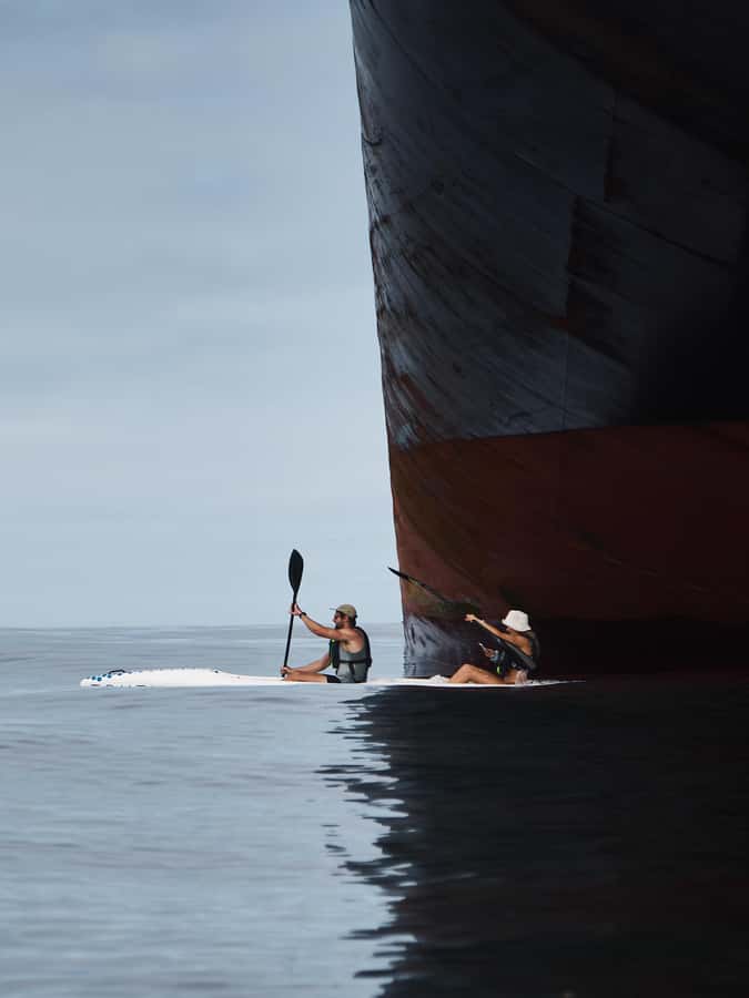 Cape Town: Dolphin & Ocean Wildlife Kayaking Adventure ⚓️ - What makes the guides important