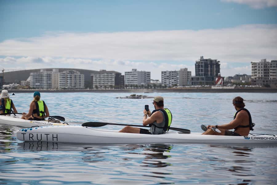 Cape Town: Dolphin & Ocean Wildlife Kayaking Adventure ⚓️ - Weather, fitness, and the right age