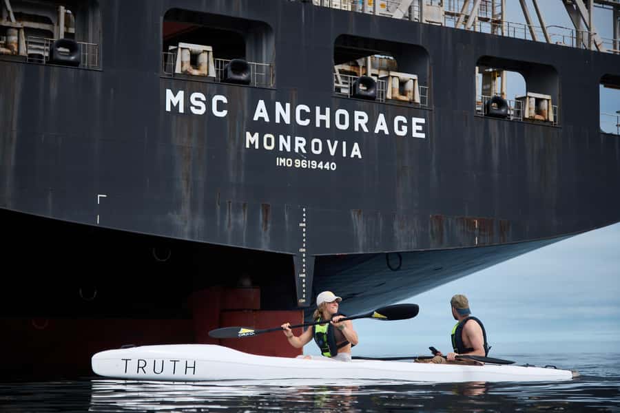 Cape Town: Dolphin & Ocean Wildlife Kayaking Adventure ⚓️ - Meeting at Truth Adventure HQ in Mouille Point