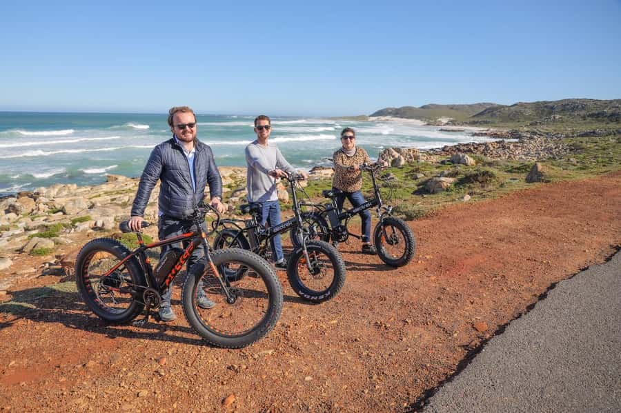 Cape Town: E-Bike Cape Peninsula Tour - Key points to know