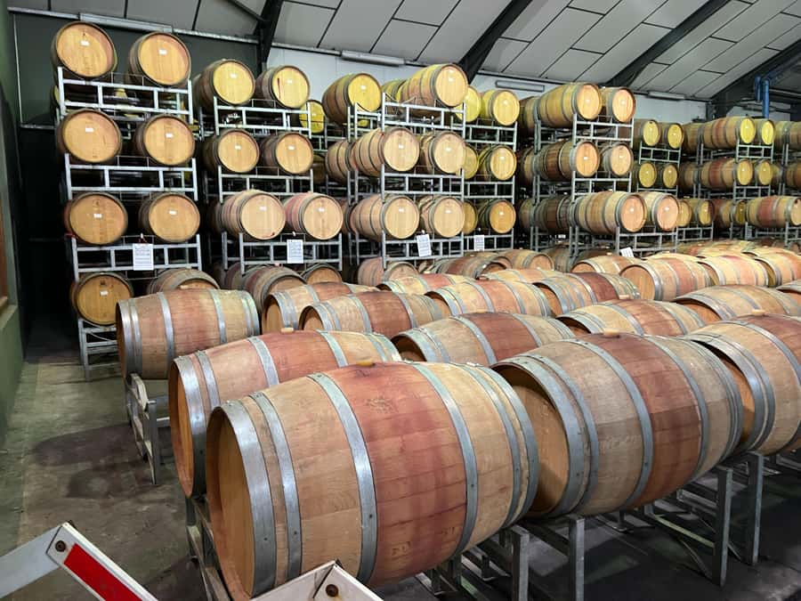 Cape Town: Franschhoek and Wine Tram Tour - What the small-group format changes
