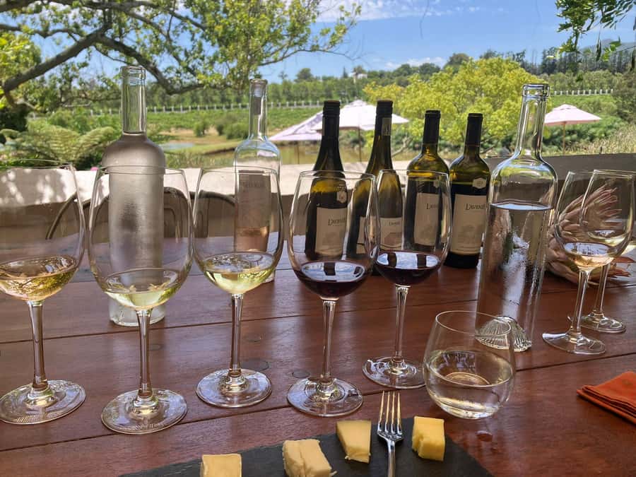 Cape Town: Franschhoek Wine Tram Hop-On Hop-Off Tour - Timing a seven-hour wine day