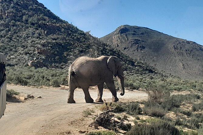 Cape Town Full Day Aquila reserve safari - Ceres Mountain and the Hex Pass