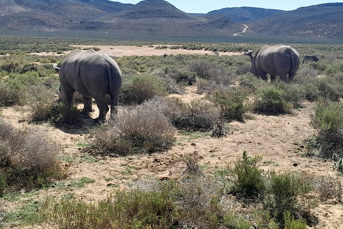 Cape Town Full Day Aquila reserve safari - Arriving at Aquila Private Game Reserve