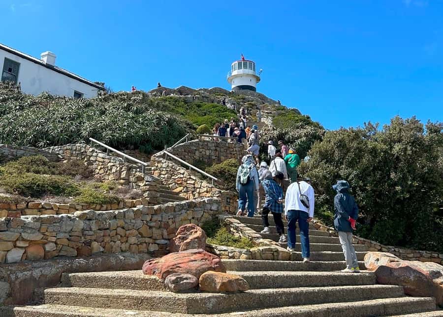 Cape Town: Full Day Cape of Good Hope with Penguins Tour - Cape Point Nature Reserve and its wildlife