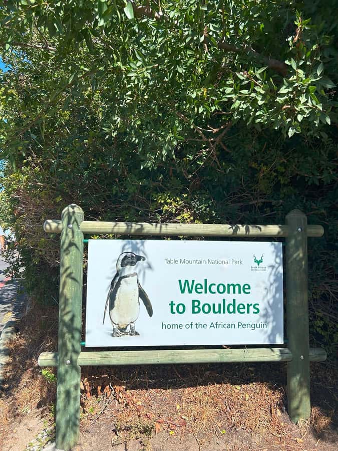 Cape Town: Full Day Cape of Good Hope with Penguins Tour - The Cape of Good Hope photo stop