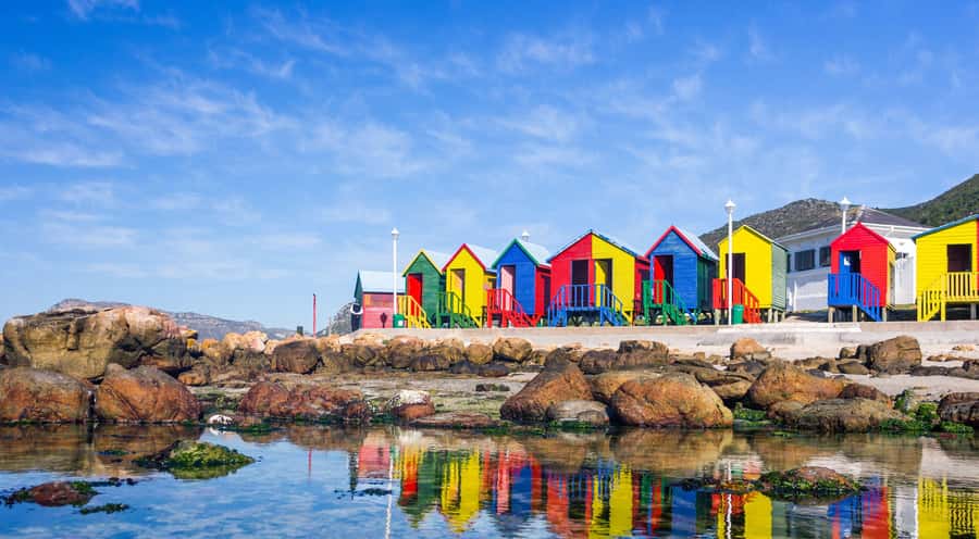 Cape Town: Full-Day Cape Peninsula and Penguins Tour - Practical advice for a smoother day