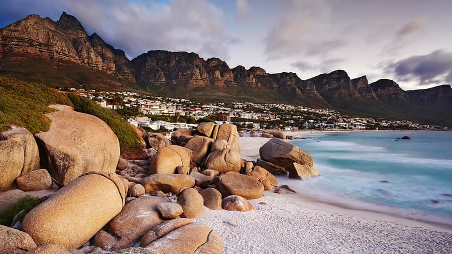 Cape Town: Full-Day Cape Peninsula Tour with Transfers - Key points to know before booking