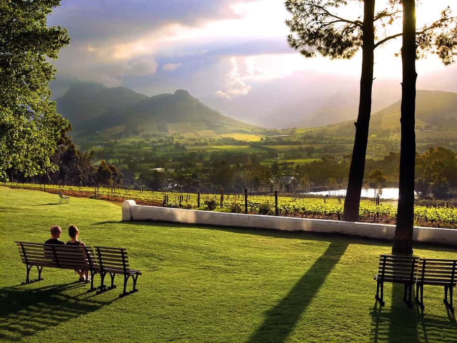 Cape Town: Full-Day Cape Peninsula Tour with Transfers - Chapman’s Peak is the road to remember