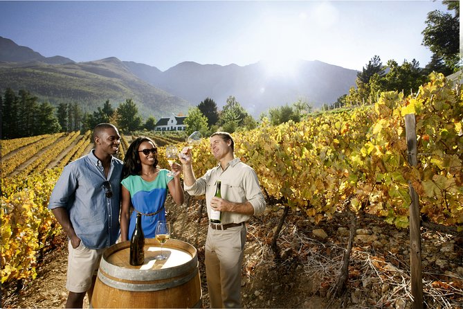 Cape Town Full Day Family Fun With Kids Private Tour - Fairview combines wine, cheese, and juice