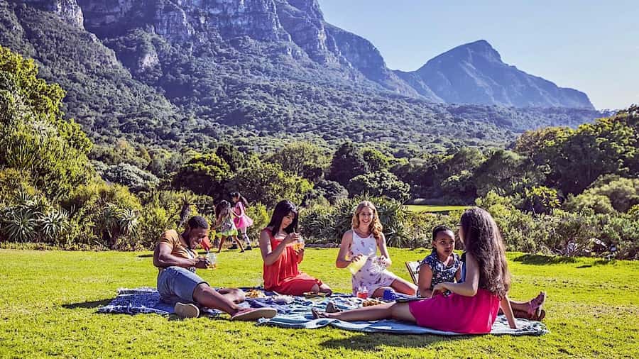 Cape Town: Full-Day Kirstenbosch, Bo-Kaap, and Penguins Tour - The day’s best reasons to go