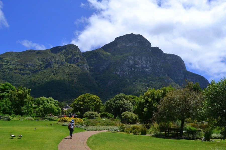 Cape Town: Full-Day Kirstenbosch, Bo-Kaap, and Penguins Tour - Price, extra costs, and the real value