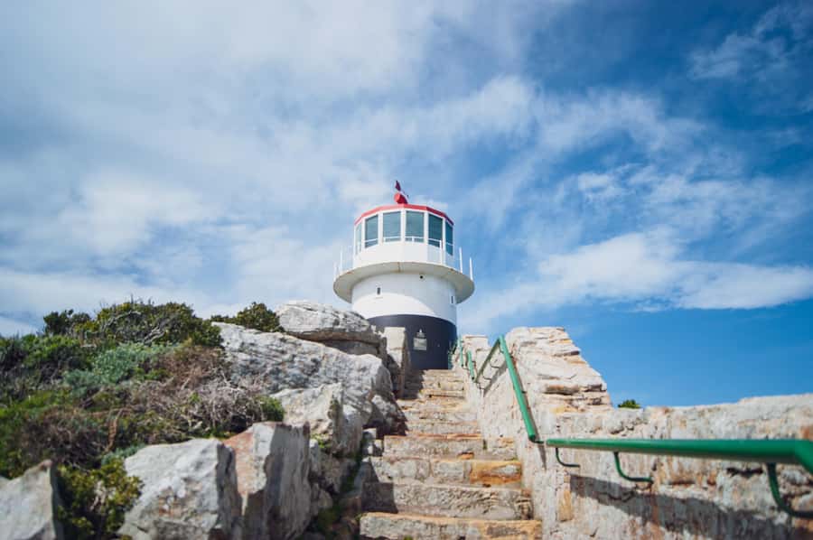 Cape Town: Full-Day Private Peninsula Tour - What the $121 price really includes
