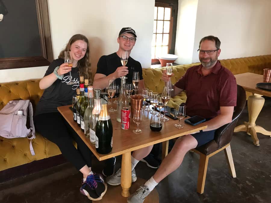 Cape Town: Full-Day Stellenbosch and Franschhoek Wine Tour - Delaire Graff, art and polished luxury