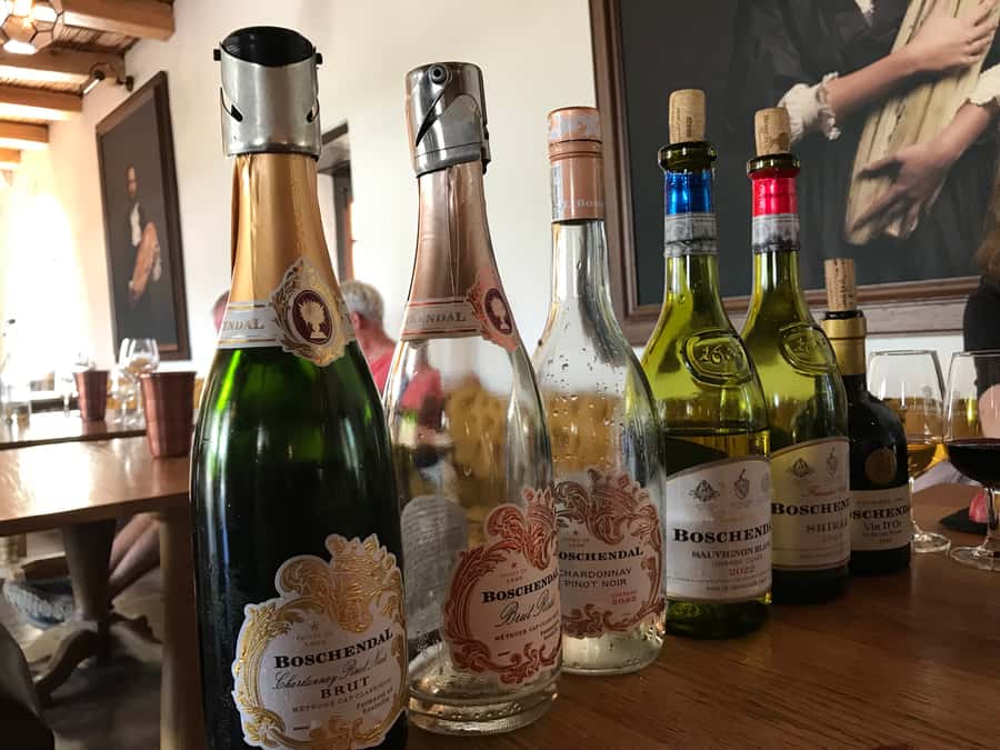Cape Town: Full-Day Stellenbosch and Franschhoek Wine Tour - What the $77 price really covers