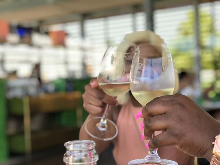 Cape Town: Full-Day Stellenbosch and Franschhoek Wine Tour - Small group travel and the guide question