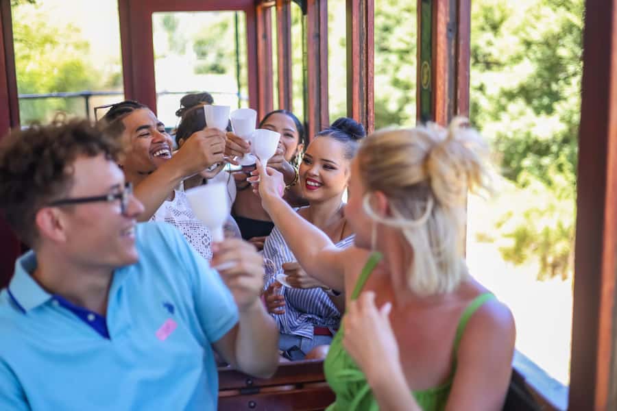 Cape Town: Full-Day Wine Tasting Tour with Wine Tram - Tokara: Cabernet, rosé, and broad views