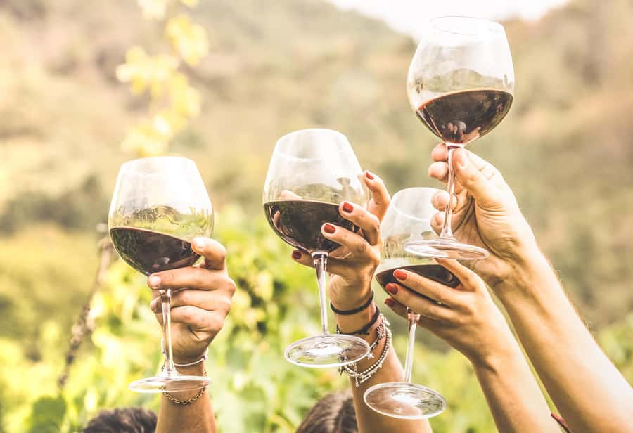 Cape Town: Full-Day Wine Tasting Tour with Wine Tram - What the guides add to the day