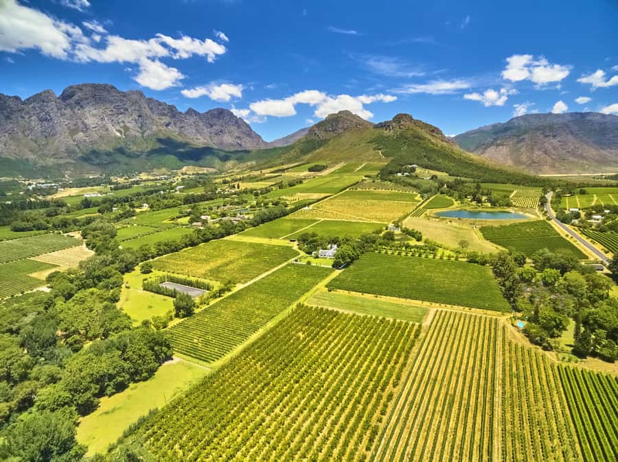 Cape Town: Full-Day Wine Tasting Tour with Wine Tram - The Mandela stop on the way back