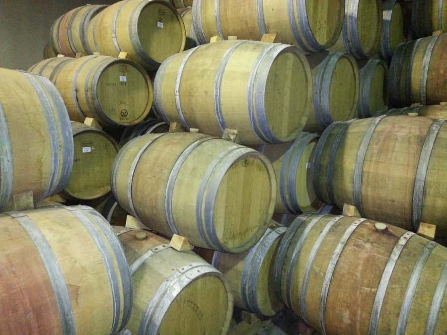 Cape Town: Full-Day Winelands Tour with Wine Tastings & Food - Lunch with wine in the middle of the day