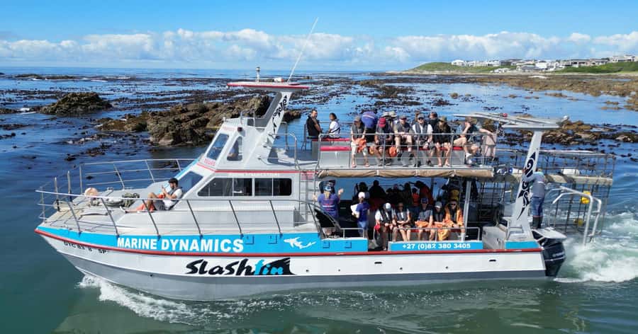 Cape Town: Gansbaai Eco-Friendly Shark Cage Diving Cruise - The Great White House sets the tone
