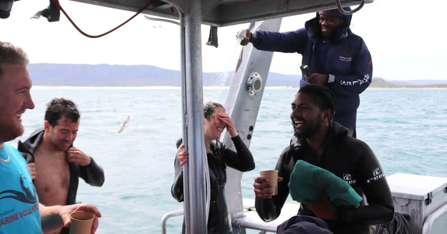 Cape Town: Gansbaai Eco-Friendly Shark Cage Diving Cruise - Aboard Slashfin and out toward Joubertsdam