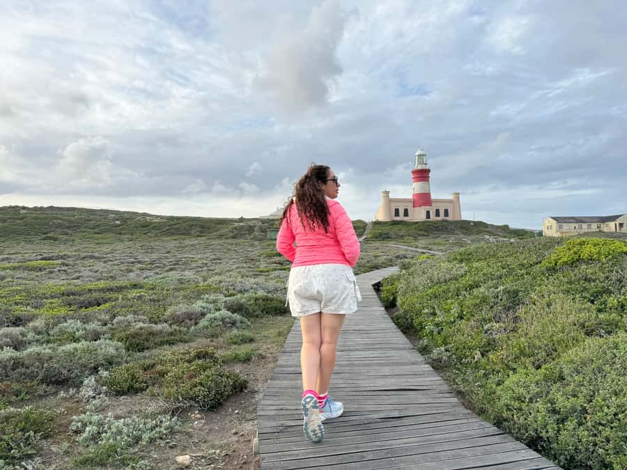 Cape Town: Garden Route and Addo Elephant Park 6-Day Safari - Who should book this Garden Route trip
