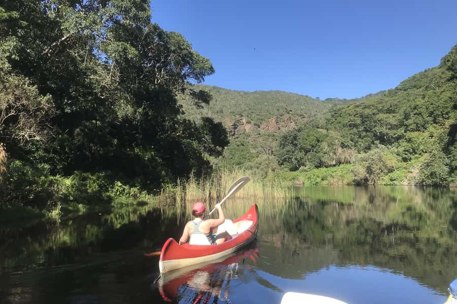 Cape Town: Garden Route and Addo Elephant Park 6-Day Safari - Day two, Route 62, wine, caves, and ostriches