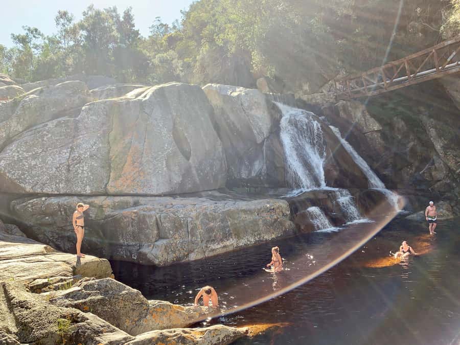 Cape Town: Garden Route and Addo Elephant Park 6-Day Safari - Day three, canoeing through Wilderness National Park