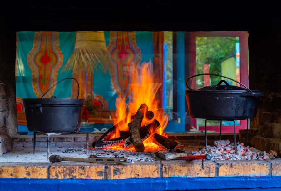 Cape Town: Garden Route and Addo Elephant Park 6-Day Safari - Day five, the Addo Elephant National Park morning