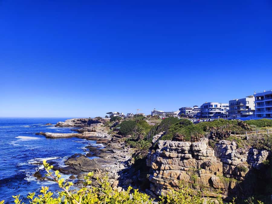 Cape Town: Garden Route and Addo Elephant Park 6-Day Safari - Accommodation, meals, and what the price covers