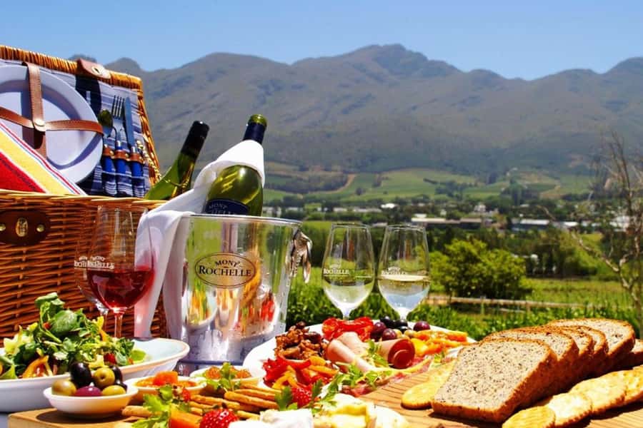 Cape Town: Giraffe House, Cheetah Encounter and Wine Tasting - Starting from Cape Town City Centre