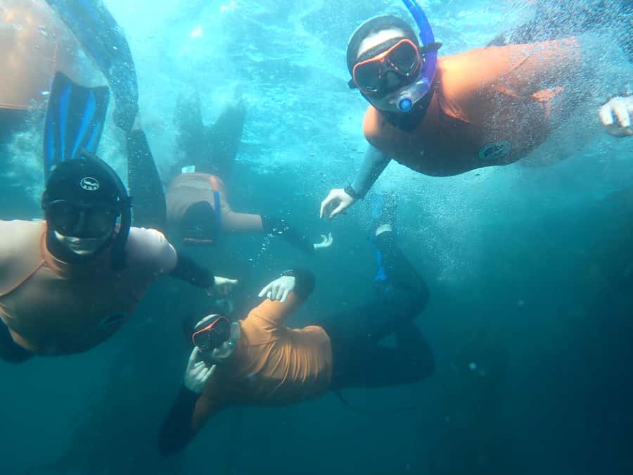 Cape Town: Great African Sea Forest Guided Snorkel - Entering the water and learning to read the kelp