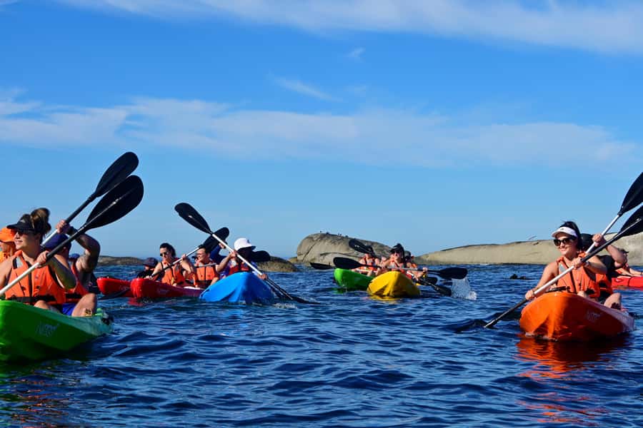 Cape Town: Guided Kayak Tour of Clifton Beaches & The Coast - Key points at a glance