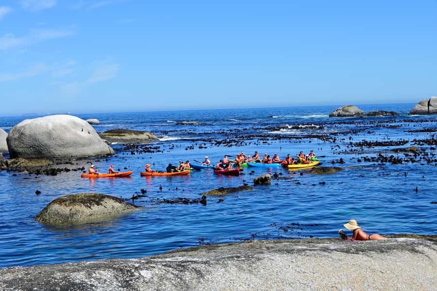 Cape Town: Guided Kayak Tour of Clifton Beaches & The Coast - What the $49 price includes